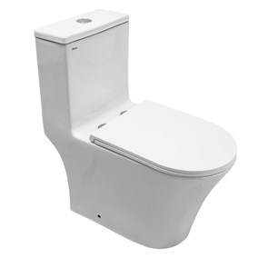 {{photo.Alt || photo.Description || 'Унитаз-моноблок Azario Vally 690х360х760 напольный, слив &quot;Торнадо&quot;, в комплекте с быстросъемным и сиденьем микролифт (AZ-80687)'}}