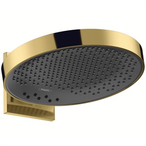 {{photo.Alt || photo.Description || 'Верхний душ Hansgrohe Rainfinity, с настенным держателем, золото (26234990)'}}