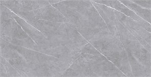 {{photo.Alt || photo.Description || 'Плитка керамогранитная AZARIO ASMUS GREY 60х120 Glossy (F4070821120G)'}}