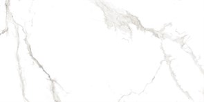 {{photo.Alt || photo.Description || 'Плитка керамогранитная AZARIO MARTIN GREY 60х120 Glossy (F4110821124G)'}}