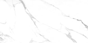 {{photo.Alt || photo.Description || 'Плитка керамогранитная AZARIO JAVIER SATVARIO 60х120 Glossy (F4110821123G)'}}