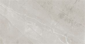 {{photo.Alt || photo.Description || 'Плитка керамогранитная AZARIO VIVYEN GREY 60х120 Glossy (F4060821120G)'}}