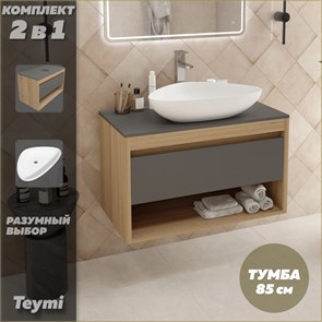 {{photo.Alt || photo.Description || 'Тумба подвесная с раковиной для ванной 85 см Teymi Ritta корпус дуб фасад графит раковина Ellie 60 F11686'}}