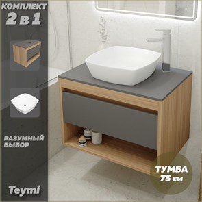 {{photo.Alt || photo.Description || 'Тумба подвесная с раковиной для ванной 75 см Teymi Ritta корпус дуб фасад графит раковина Kati 43 F03412'}}