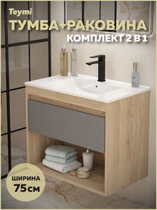 {{photo.Alt || photo.Description || 'Тумба подвесная с раковиной для ванной 75 см Teymi Vitra корпус дуб фасад графит раковина Ritta 75 F15926'}}