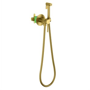 {{photo.Alt || photo.Description || 'Смеситель встроенный с гигиеническим душем Timo Saona золото шлифованное (2338/20SM)'}}