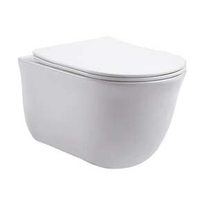 {{photo.Alt || photo.Description || 'Листа - Унитаз подвесной скрытое торнадо, с сидением микролифт из дюропласта 490х365х340мм AZ-1177T'}}