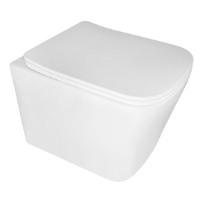 {{photo.Alt || photo.Description || 'Унитаз подвесной Azario Cascad M 490x345x325 безободковый, система смыва "Скрытое Торнадо", с быстросъемным сиденьем микролифт (AZ-10002)'}}