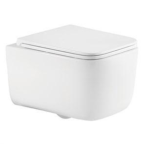 {{photo.Alt || photo.Description || 'Унитаз подвесной Azario BACIO 340х485х350 безободковый, система смыва "Скрытое Торнадо", с быстросъемным сиденьем "Микролифт" (AZ-5103T-WHT)'}}