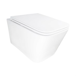 {{photo.Alt || photo.Description || 'Унитаз подвесной Azario PACE 360х520х365 безободковый, система смыва "Скрытое Торнадо", с быстросъемным сиденьем "Микролифт" (AZ-5172T-WHT)'}}