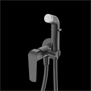 {{photo.Alt || photo.Description || 'Гигиенический душ DQ D?sseldorf встраиваемый (DA1724506)'}}