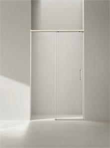 {{photo.Alt || photo.Description || 'Душевая дверь CEZARES PLANE-BF-1-110-C-IN'}}