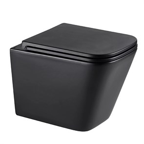 {{photo.Alt || photo.Description || 'Унитаз Lemark FLOREX подвесной, чёрный матовый (9612002)'}}