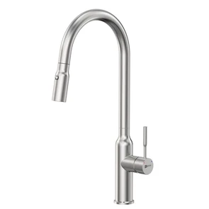 {{photo.Alt || photo.Description || 'Смеситель Lemark Expert для кухни с вытягивающимся поворотным изливом (LM5086S)'}}