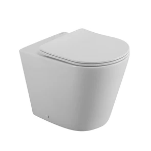 {{photo.Alt || photo.Description || 'Унитаз приставной безободковый с сиденьем BelBagno FLAY-R BB1003CBR/SC'}}