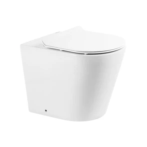 {{photo.Alt || photo.Description || 'Унитаз приставной безободковый BelBagno FLAY-R BB1003CBR'}}