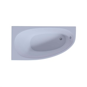 {{photo.Alt || photo.Description || 'Акриловая асимметричная  ванна Aquatek Eco-Friendly Дива 170х90 без фронтального экрана, без гидромассажа, без опоры(каркаса), левая'}}