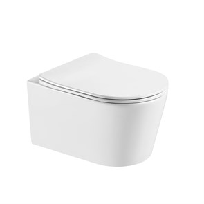 {{photo.Alt || photo.Description || 'Унитаз подвесной безободковый Aquatek ОБЕРОН AQ1365T-00 531*360*344 с сиденьем Soft Close'}}