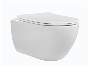 {{photo.Alt || photo.Description || 'SKANDENBORG RIMLESS Безободковый подвесной унитаз CHARUS, EWC700-125W, Белый, Санфарфор'}}