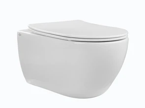 {{photo.Alt || photo.Description || 'SKANDENBORG RIMLESS Безободковый подвесной унитаз CHARUS, EWC700-125W, Белый, Санфарфор'}}