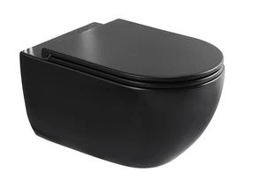 {{photo.Alt || photo.Description || 'SKANDENBORG RIMLESS Безободковый подвесной унитаз, EWC700-125B, Черный, Санфарфор'}}