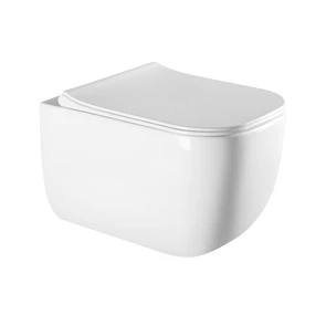 {{photo.Alt || photo.Description || 'PINTO RIMLESS Безободковый подвесной унитаз, EWC700-126W, Белый, Санфарфор'}}