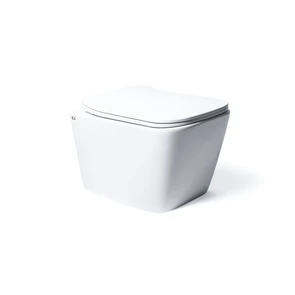 {{photo.Alt || photo.Description || 'ALVA RIMLESS Безободковый подвесной унитаз, EWC700-114W, Белый, Санфарфор'}}