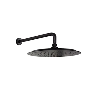 {{photo.Alt || photo.Description || 'СНЯТ Тропический душ настенный круглый ABS BHRP240NM чёрный'}}