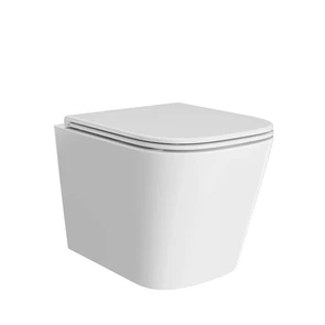 {{photo.Alt || photo.Description || 'Унитаз Cubo/Кубо подвесной безободковый с крепежом и сиденьем, белый глянцевый'}}
