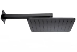 {{photo.Alt || photo.Description || 'Верхний душ Bossini Cosmo 1 режим, черный матовый ( H69598I.073)'}}