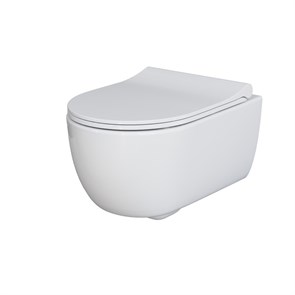 {{photo.Alt || photo.Description || 'Унитаз Abner 103T20001R (545*360*330) БЕЛЫЙ подвесной БЕЗОБОДКОВЫЙ, 1 место'}}