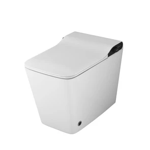 {{photo.Alt || photo.Description || 'Унитаз приставной Grossman Smart GR-PR-5701 (590х360х460) белый, выпуск в стену, 1 место'}}