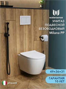 {{photo.Alt || photo.Description || 'Унитаз подвесной безободковый Watersense Milana с быстросъемным сиденьем микролифт'}}