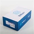 Смеситель BelBagno для ванны и душа UNIQUE-VASM-L-CRM UNIQUE-VASM-L-CRM - фото 128492 Смеситель BelBagno для ванны и душа UNIQUE-VASM-L-CRM UNIQUE-VASM-L-CRM - фото 128492