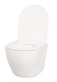 Унитаз подвесной TOKITO TATSUMAKI МOMMO 4.0 белый (TOK-TATSUMAKI-4-0TM) TOK-TATSUMAKI-4-0TM