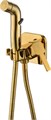 Гигиенический душ встраиваемый RUSH Capri (CA1435-99G) CA1435-99G - фото 148023