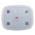 Зеркало Cezares CZR-SPC-MOLVENO-1000-800-MOV CZR-SPC-MOLVENO-1000-800-MOV - фото 159297 Зеркало Cezares CZR-SPC-MOLVENO-1000-800-MOV CZR-SPC-MOLVENO-1000-800-MOV - фото 159297