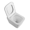 Унитаз подвесной безободковый с сиденьем и смывом TORNADO BelBagno ARDENTE-TOR BB520CH-TOR BB520CH-TOR/SC - фото 167054 Унитаз подвесной безободковый с сиденьем и смывом TORNADO BelBagno ARDENTE-TOR BB520CH-TOR BB520CH-TOR/SC - фото 167054