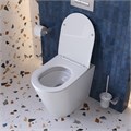 Унитаз приставной безободковый с сиденьем и смывом TORNADO BelBagno FLAY-TOR BB1003CB-TOR/SC BB1003CB-TOR/SC - фото 167061 Унитаз приставной безободковый с сиденьем и смывом TORNADO BelBagno FLAY-TOR BB1003CB-TOR/SC BB1003CB-TOR/SC - фото 167061