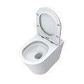 Унитаз приставной безободковый с сиденьем и смывом TORNADO BelBagno FLAY-TOR BB1003CB-TOR/SC BB1003CB-TOR/SC - фото 167068 Унитаз приставной безободковый с сиденьем и смывом TORNADO BelBagno FLAY-TOR BB1003CB-TOR/SC BB1003CB-TOR/SC - фото 167068