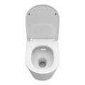 Унитаз подвесной безободковый с сиденьем и смывом TORNADO BelBagno TRE-TOR BB5180CH-TOR/SC BB5180CH-TOR/SC - фото 167095 Унитаз подвесной безободковый с сиденьем и смывом TORNADO BelBagno TRE-TOR BB5180CH-TOR/SC BB5180CH-TOR/SC - фото 167095