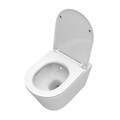 Унитаз подвесной безободковый с сиденьем и смывом TORNADO BelBagno TRE-TOR BB5180CH-TOR/SC BB5180CH-TOR/SC - фото 167097 Унитаз подвесной безободковый с сиденьем и смывом TORNADO BelBagno TRE-TOR BB5180CH-TOR/SC BB5180CH-TOR/SC - фото 167097