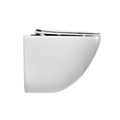 Унитаз подвесной безободковый со смывом TORNADO BelBagno AMANDA-TOR BB051CH-TOR-FC BB051CH-TOR-FC - фото 167174 Унитаз подвесной безободковый со смывом TORNADO BelBagno AMANDA-TOR BB051CH-TOR-FC BB051CH-TOR-FC - фото 167174