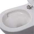 Унитаз подвесной безободковый со смывом TORNADO BelBagno AMANDA-TOR BB051CH-TOR-FC BB051CH-TOR-FC - фото 167181 Унитаз подвесной безободковый со смывом TORNADO BelBagno AMANDA-TOR BB051CH-TOR-FC BB051CH-TOR-FC - фото 167181