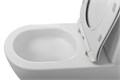 Унитаз-компакт безободковый BelBagno SFERA-TOR BB2141CP-TOR+BB2141T 10668 - фото 167264 Унитаз-компакт безободковый BelBagno SFERA-TOR BB2141CP-TOR+BB2141T 10668 - фото 167264