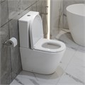 Унитаз-компакт безободковый BelBagno FLAY-TOR BB2149CP-TOR + BB2149T 10453 - фото 167307 Унитаз-компакт безободковый BelBagno FLAY-TOR BB2149CP-TOR + BB2149T 10453 - фото 167307