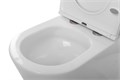 Унитаз-компакт безободковый BelBagno FLAY-TOR BB2149CP-TOR + BB2149T 10453 - фото 167316 Унитаз-компакт безободковый BelBagno FLAY-TOR BB2149CP-TOR + BB2149T 10453 - фото 167316