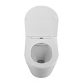 Унитаз безободковый подвесной с крышкой BelBagno FLAY-R BB053CHR/SC BB053CHR/SC