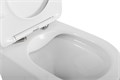 Унитаз безободковый подвесной с крышкой BelBagno FLAY-R BB053CHR/SC BB053CHR/SC