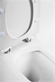 Унитаз-компакт безободковый с сиденьем BelBagno FLAY-R BB2149CPR/SC + BB2149T 7061